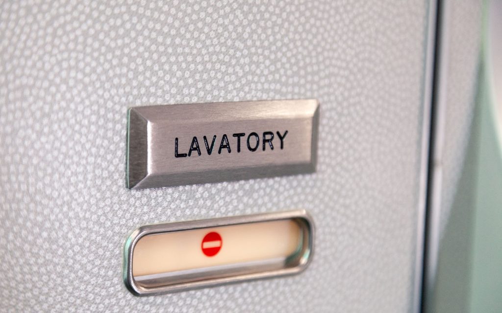 On World Toilet Day, here are 7 things to know about the smallest room in the house