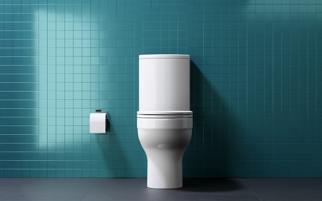 On World Toilet Day, here are 7 things to know about the smallest room in the house