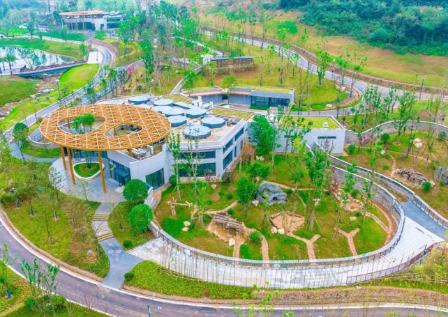 China opens a new giant panda base in Mianyang, Sichuan province