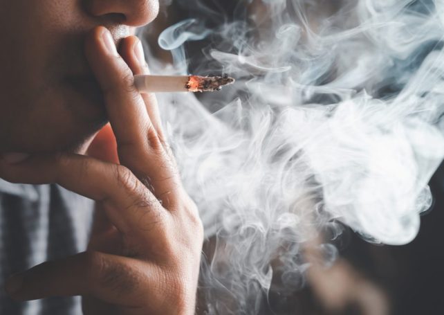 Maldives passes world-first generational tobacco ban