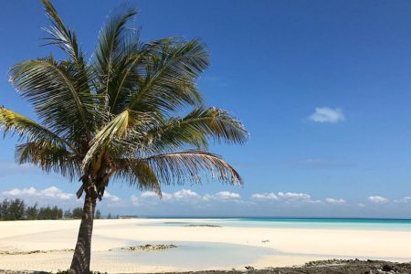 Luxury safari brand Singita to invest $102 million in Mozambique’s Bazaruto Archipelago Luxury safari brand Singita to invest $102 million in Mozambique’s Bazaruto Archipelago