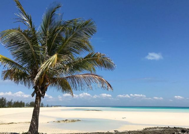 Luxury safari brand Singita to invest $102 million in Mozambique’s Bazaruto Archipelago