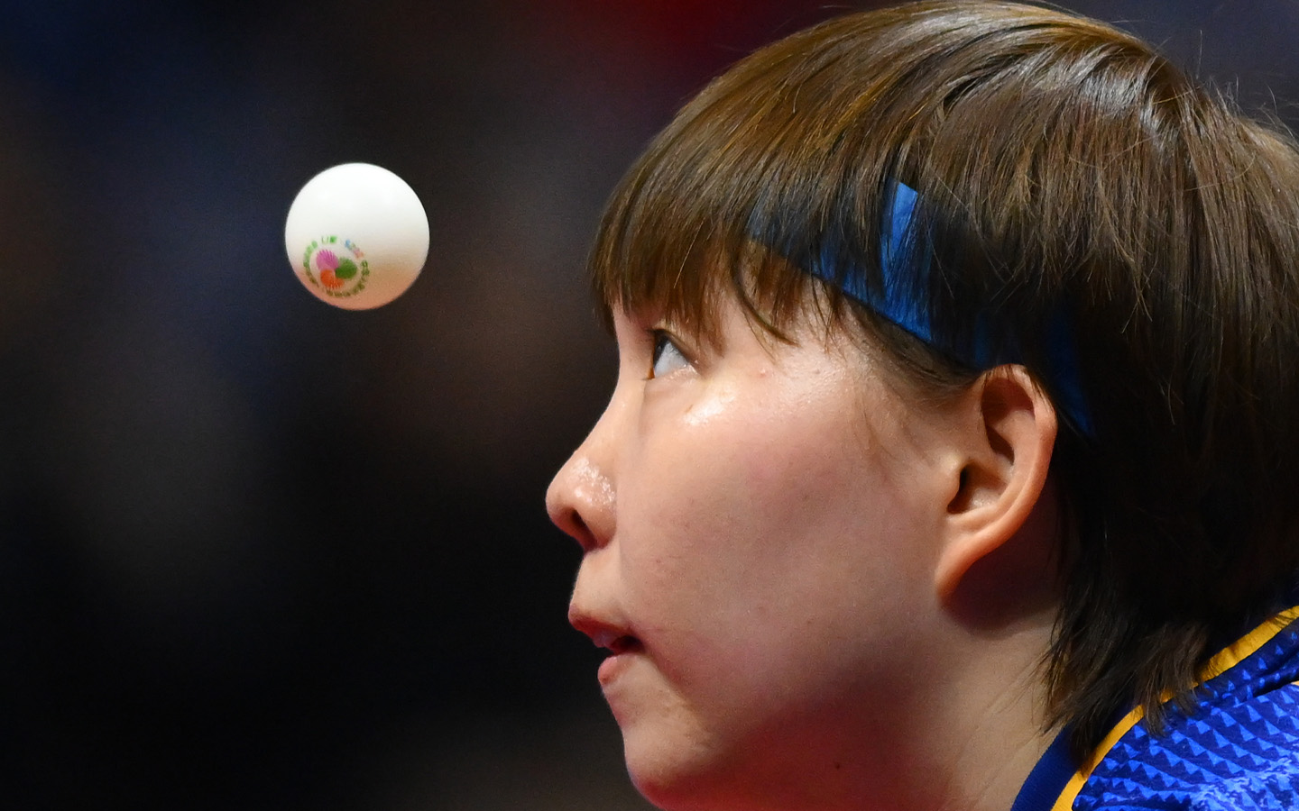 Macao athletes post strong showings as National Games enter midweek