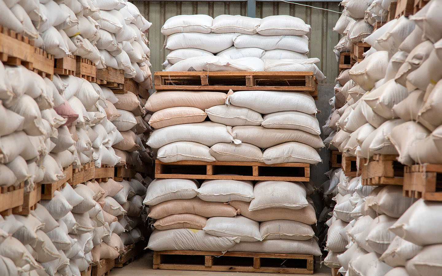 China enacts limited ban on Brazilian soybeans over illegal wheat