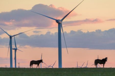 China’s power consumption to hit record highs, but more comes from green energy China’s power consumption to hit record highs, but more comes from green energy