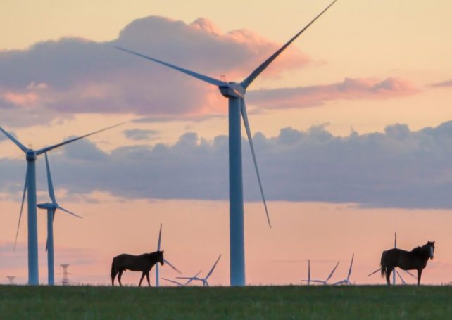 China’s power consumption to hit record highs, but more comes from green energy