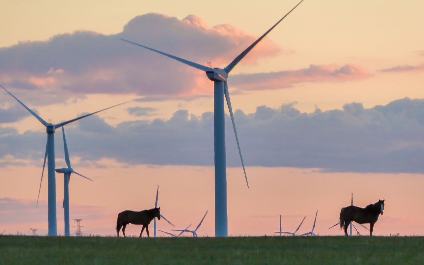 China’s power consumption to hit record highs, but more comes from green energy