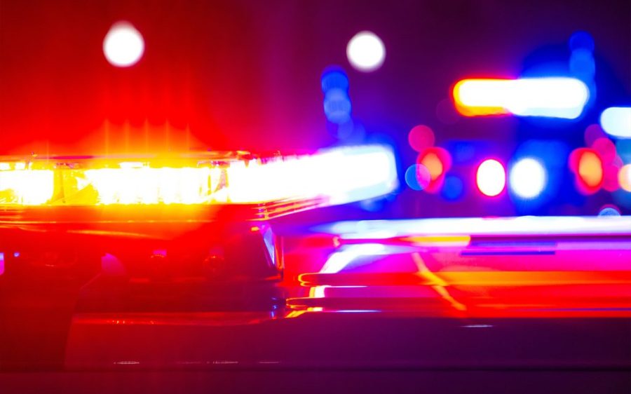 Goa nightclub fire kills 25, with 4 arrests made