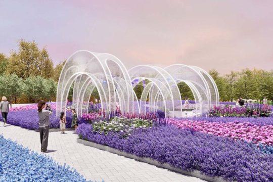 Winter Flower Show to bring ‘Fields of Purple Blossoms’ to Taipa