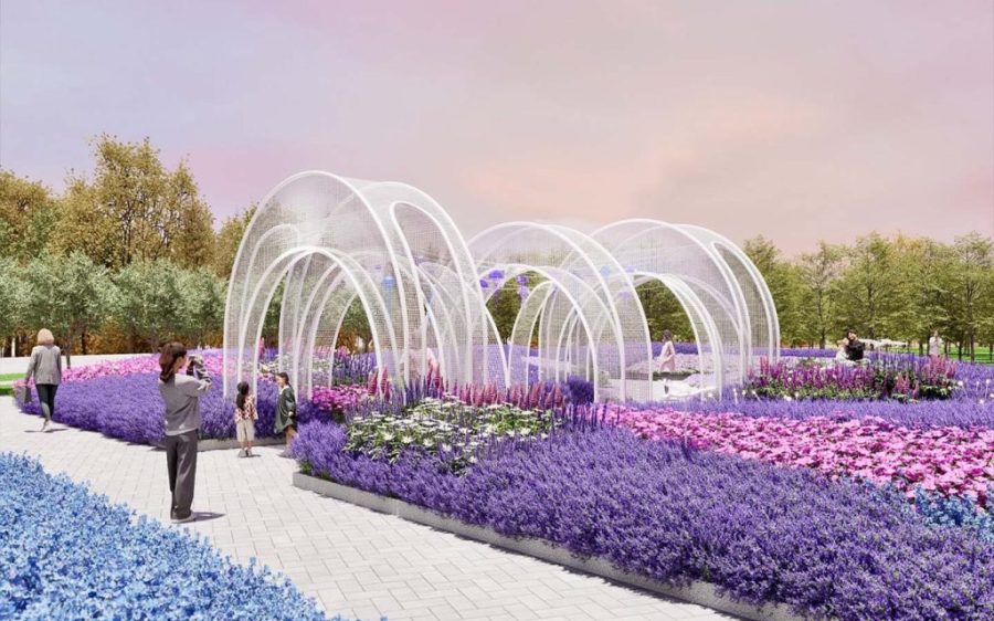 Winter Flower Show to bring ‘Fields of Purple Blossoms’ to Taipa