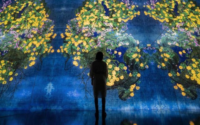 The best indoor activities in Macao: where to go when the city moves indoors