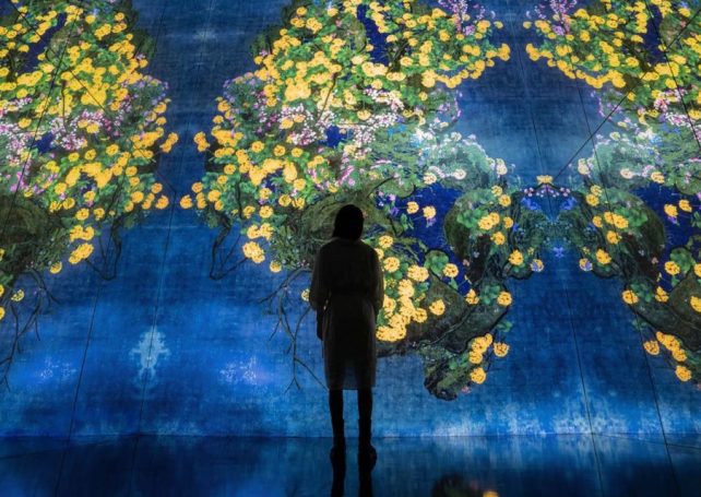 The best indoor activities in Macao: where to go when the city moves indoors