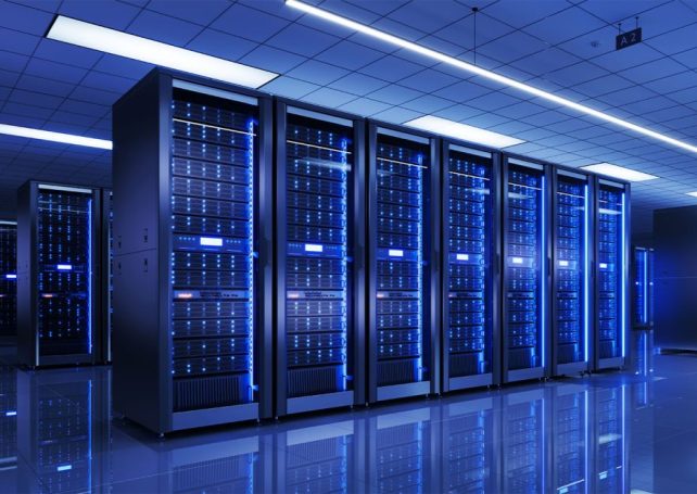 Scaling up AI investment outweighs environmental concerns, survey finds