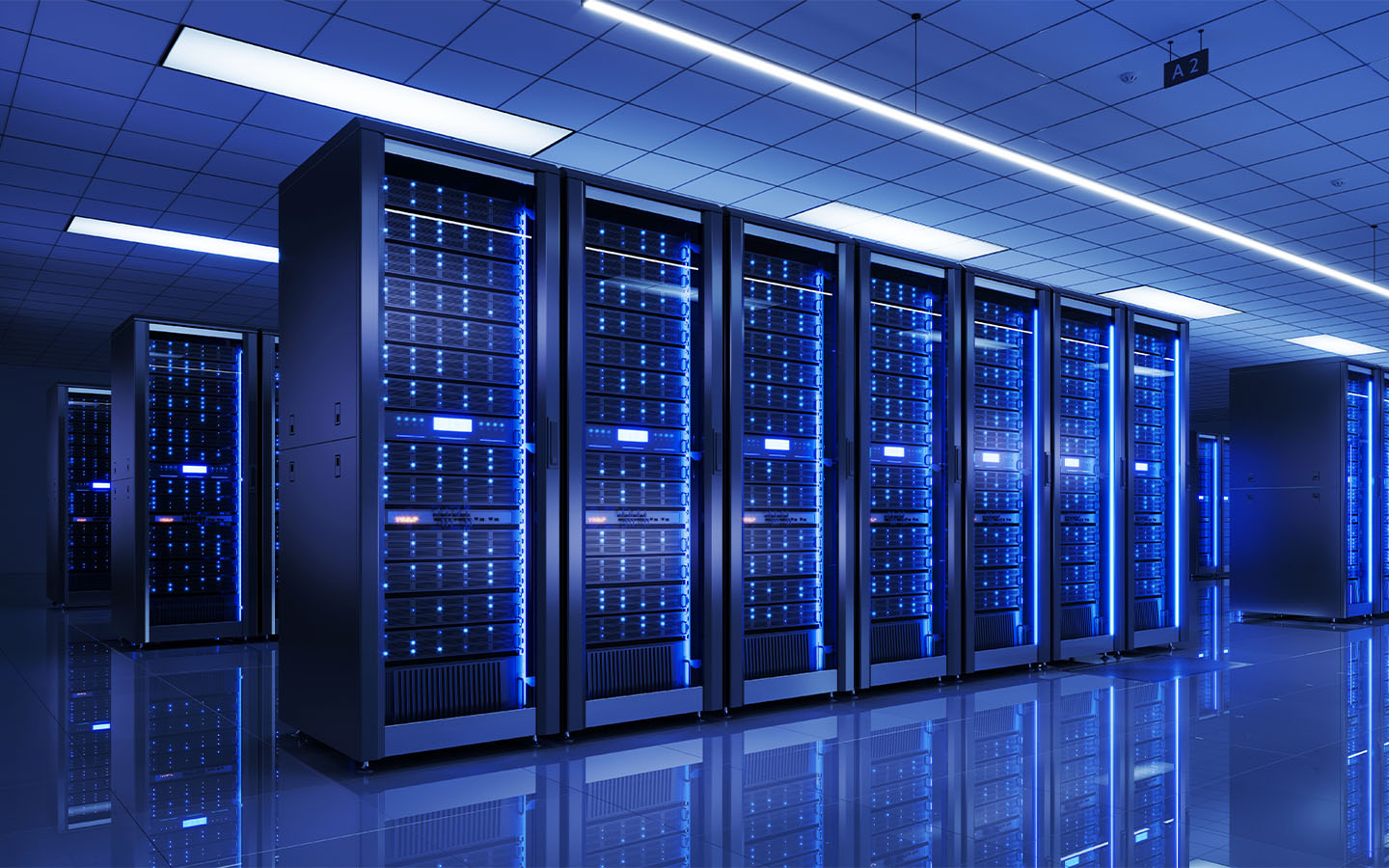 Scaling up AI investment outweighs environmental concerns, survey finds