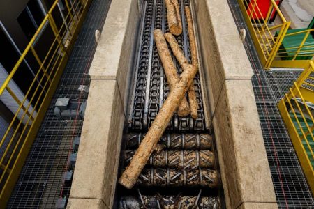 Angola agrees to US$750 million agro-industrial pulp project