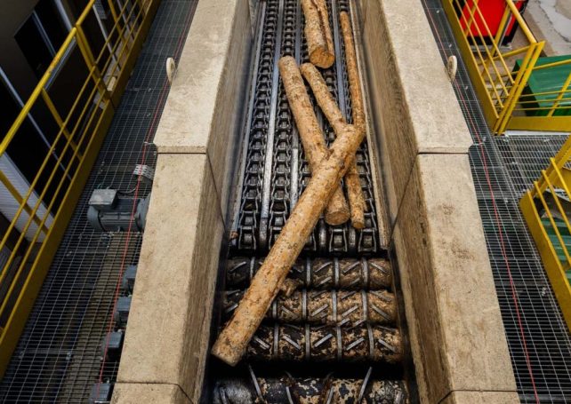 Angola agrees to US$750 million agro-industrial pulp project