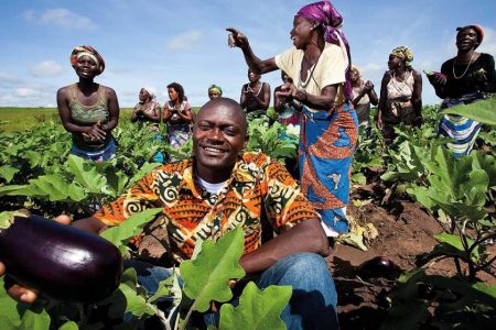 Brazil and Angola move forward with a ‘historic’ agriculture agreement Brazil and Angola move forward with a ‘historic’ agriculture agreement