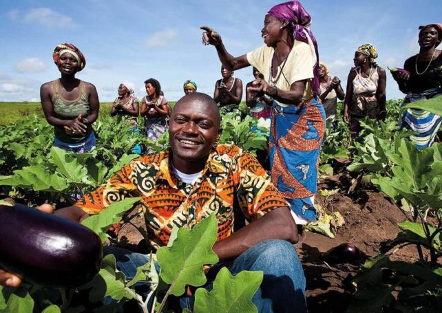 Brazil and Angola move forward with a ‘historic’ agriculture agreement