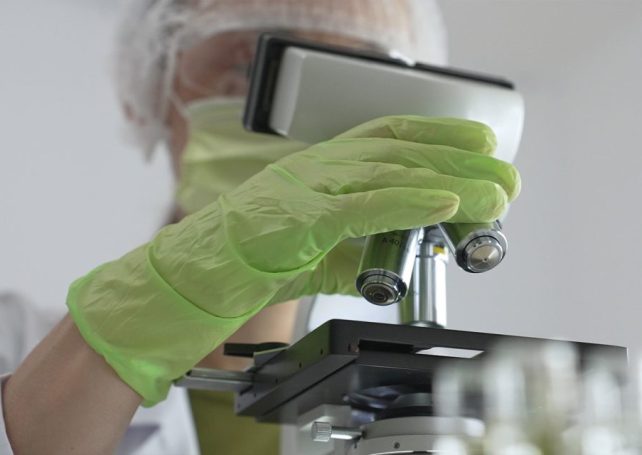 Macao prepares quarantine facilities and emergency plan against Nipah outbreak