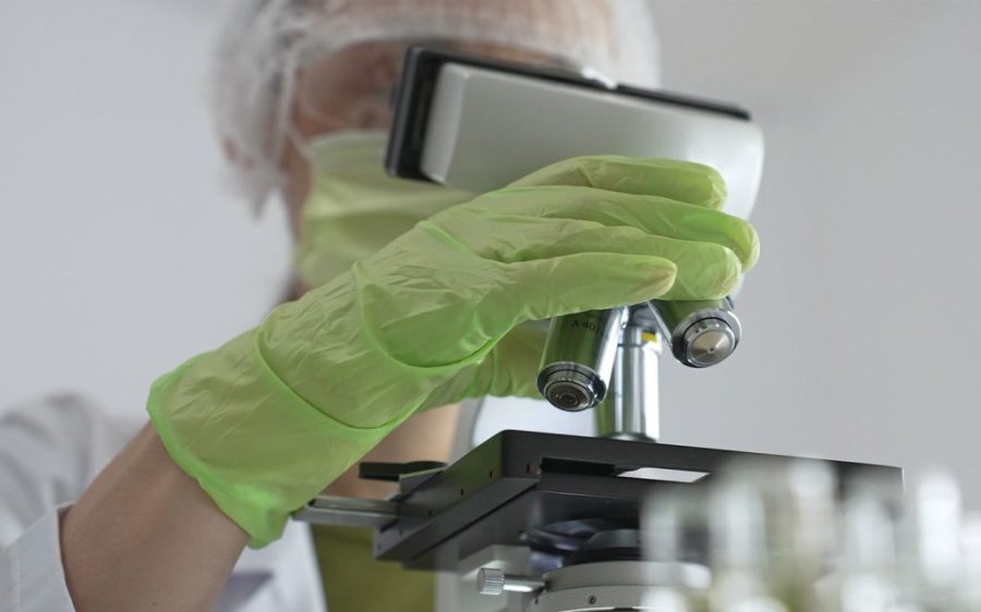 Macao prepares quarantine facilities and emergency plan against Nipah outbreak