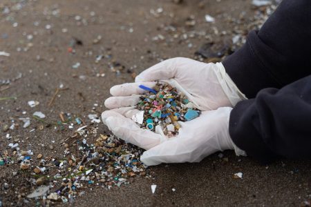 Microplastics are harming the ocean’s ability to absorb carbon dioxide