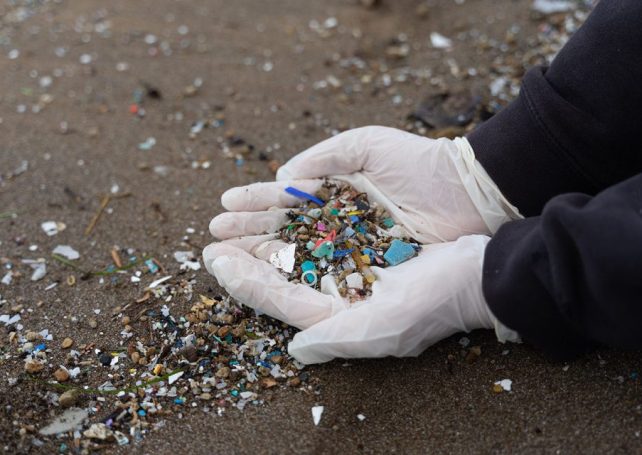 Microplastics are harming the ocean’s ability to absorb carbon dioxide