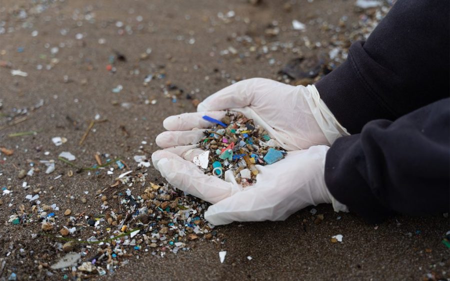 Microplastics are harming the ocean’s ability to absorb carbon dioxide