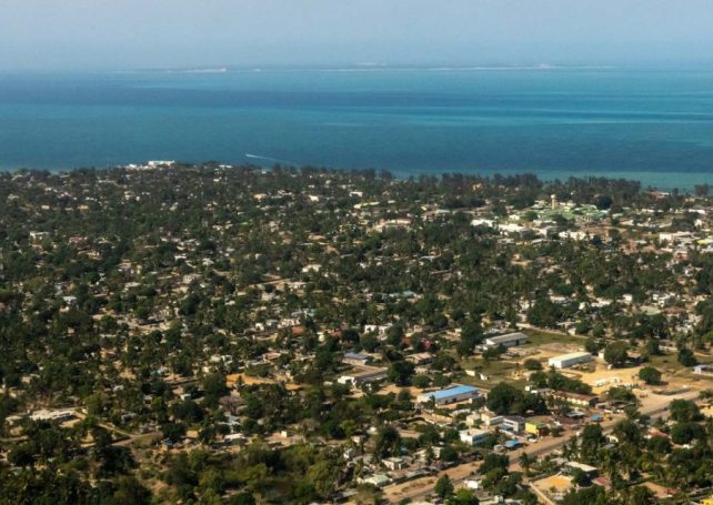 Deadly shark attack prompts swimming ban at popular Mozambique resort