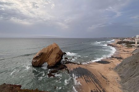 Portuguese researchers unearth unusual dinosaur egg nest on beach cliff