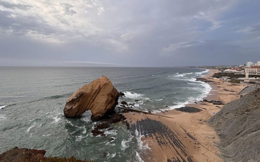 Portuguese researchers unearth unusual dinosaur egg nest on beach cliff