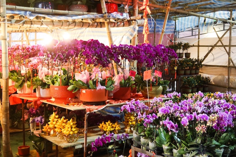 This week in the Greater Bay Area: Lunar new year markets, lantern festivals, and more