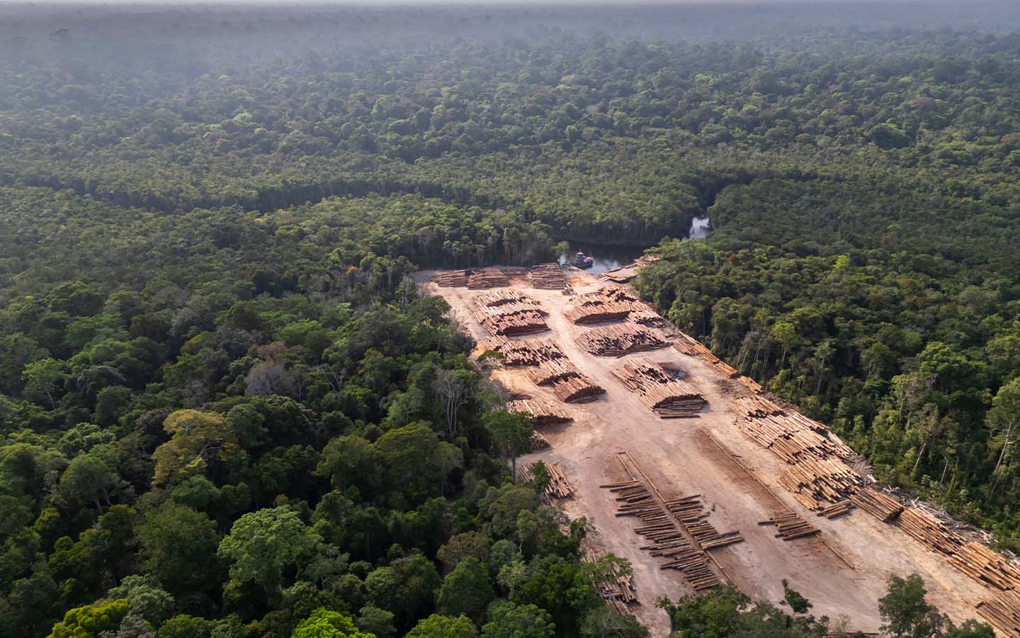 Deforestation in the Brazilian Amazon is on track for a record low