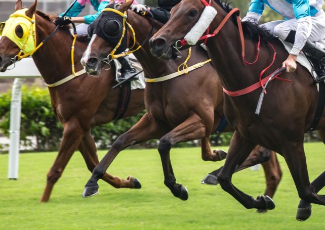 Guangzhou to host its first horse racing event after a nearly 30-year hiatus