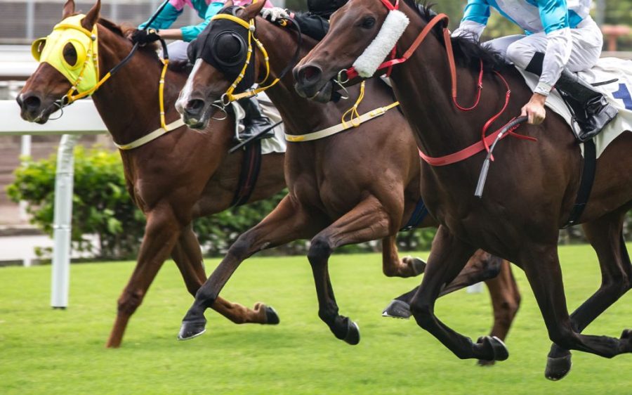 Guangzhou to host its first horse racing event after a nearly 30-year hiatus