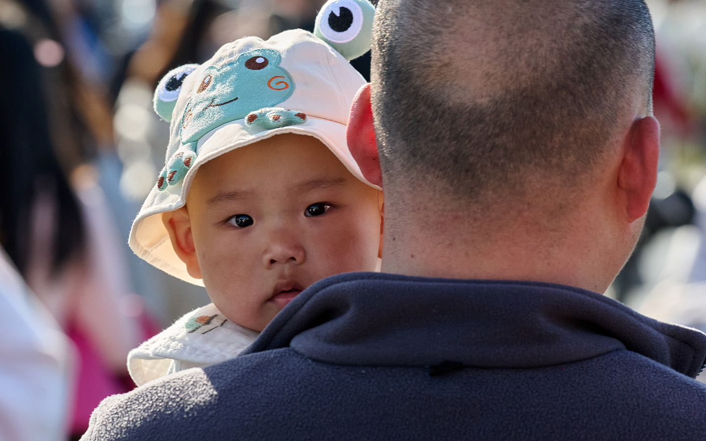 Macao Chamber calls for greater cooperation with Zhuhai on childcare and eldercare