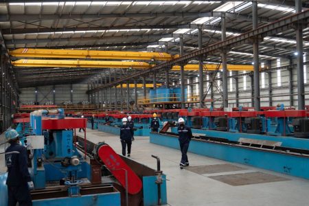 Mozambique welcomes its first graphite plant