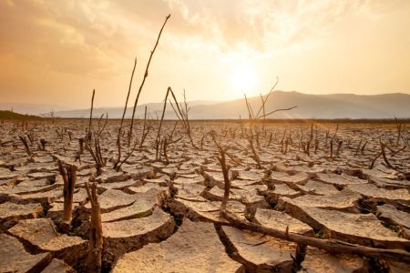 Nature’s ‘engine’ is slowing down under the impact of climate change, study finds