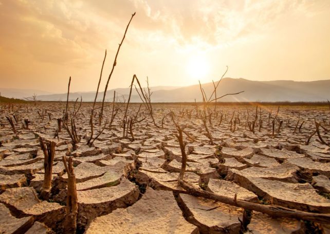 Nature’s ‘engine’ is slowing down under the impact of climate change, study finds