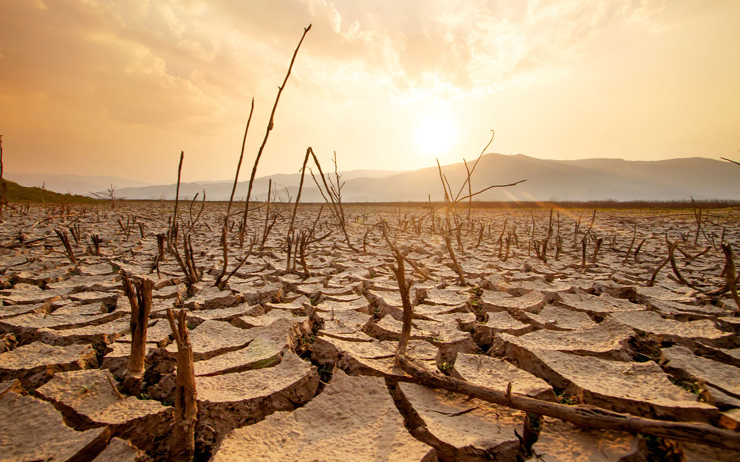 Nature’s ‘engine’ is slowing down under the impact of climate change, study finds