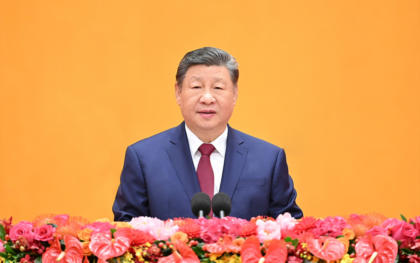 President Xi calls on Greater Bay Area to play vital developmental role