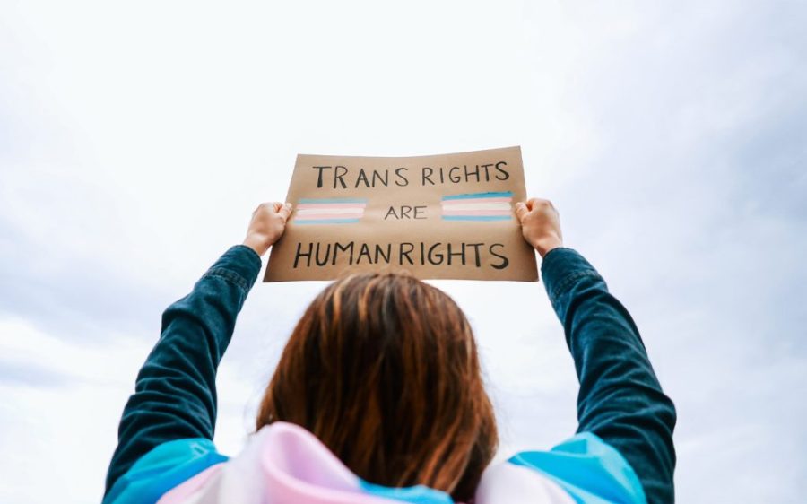 Researchers find no difference in physical performance between trans and cis women