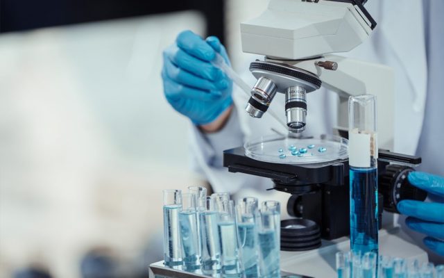 What is Nipah virus, the deadly disease that’s sparking precautions around Asia?