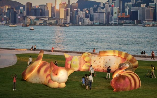 This week in the Greater Bay Area: The Flower Goddess Festival, HKIFF and more