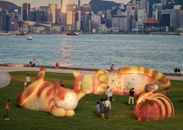 This week in the Greater Bay Area: The Flower Goddess Festival, HKIFF and more