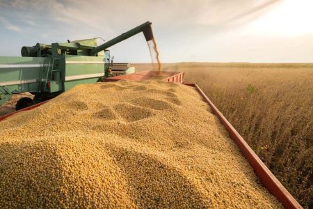 Chinese food giant COFCO to build Brazil’s largest soybean crushing complex
