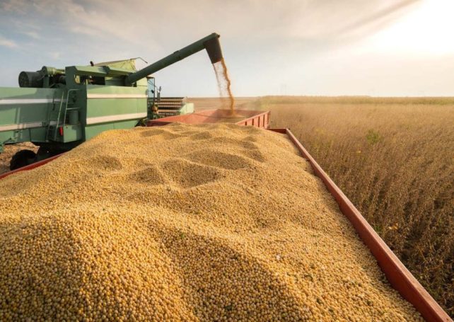 Chinese food giant COFCO to build Brazil’s largest soybean crushing complex