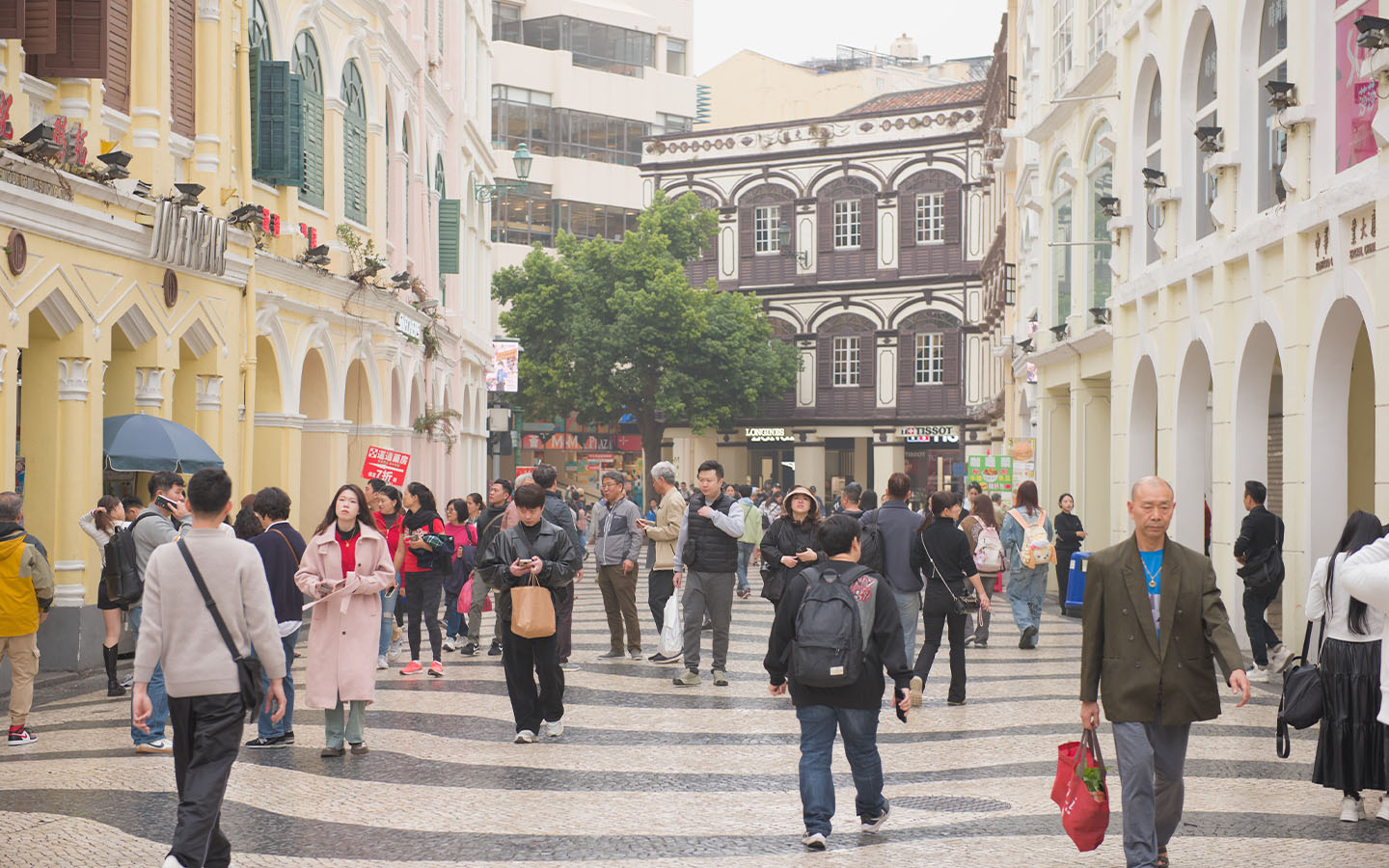 Macao could loosen residency rules for Portuguese, says head of Portugal-China chamber 